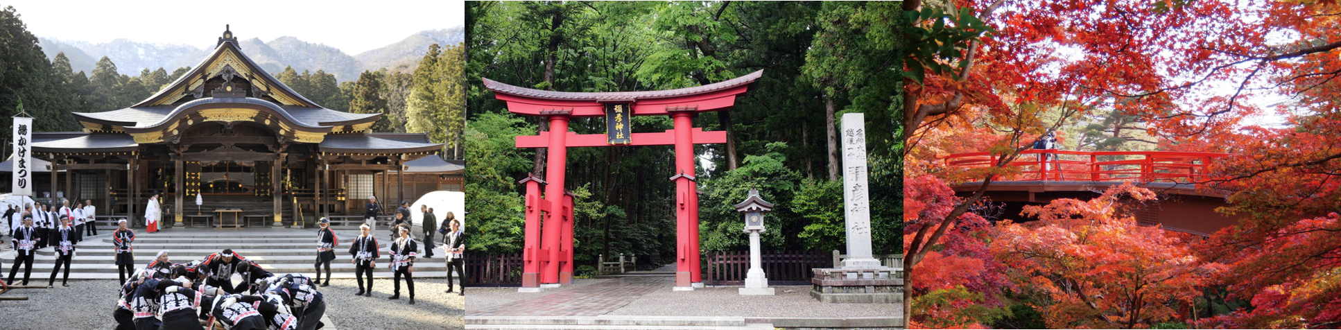 日本旅遊 創造旅行社日本自由行 新潟地區 美味滿溢的新潟 食 酒 匠