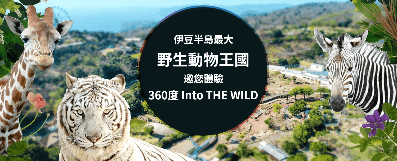 日本旅遊 創造旅行社日本自由行伊豆動物王國一日遊 內含jr東京廣域3日券