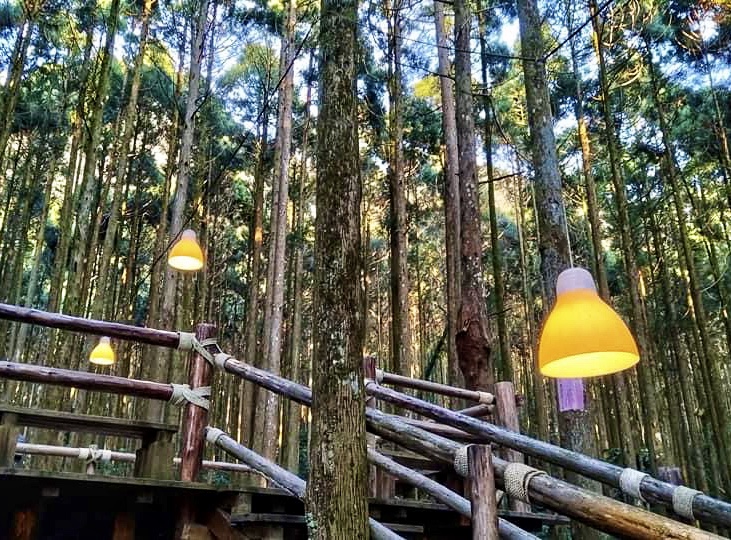 日本旅遊 創造旅行社馬武督探索森林步道 合興愛情車站 內灣老街1日遊